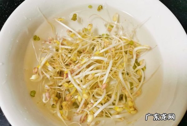 绿豆牙莱怎么发,怎样发绿豆芽