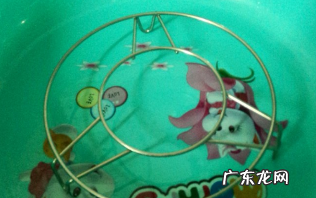 绿豆牙莱怎么发,怎样发绿豆芽