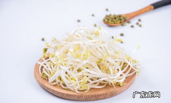 绿豆牙莱怎么发,怎样发绿豆芽