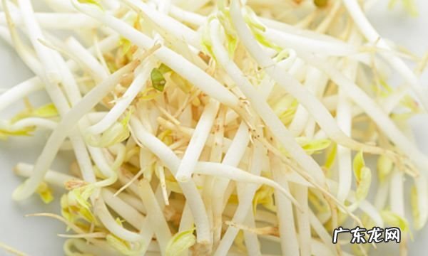 绿豆牙莱怎么发,怎样发绿豆芽