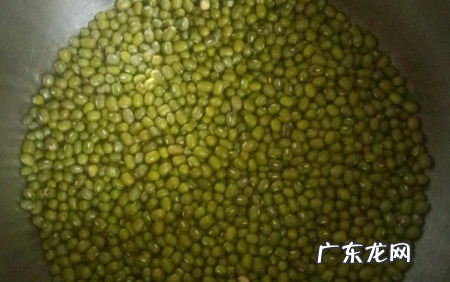 绿豆牙莱怎么发,怎样发绿豆芽