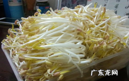 绿豆牙莱怎么发,怎样发绿豆芽