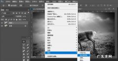 ps如何使背景模糊,ps如何让背景模糊