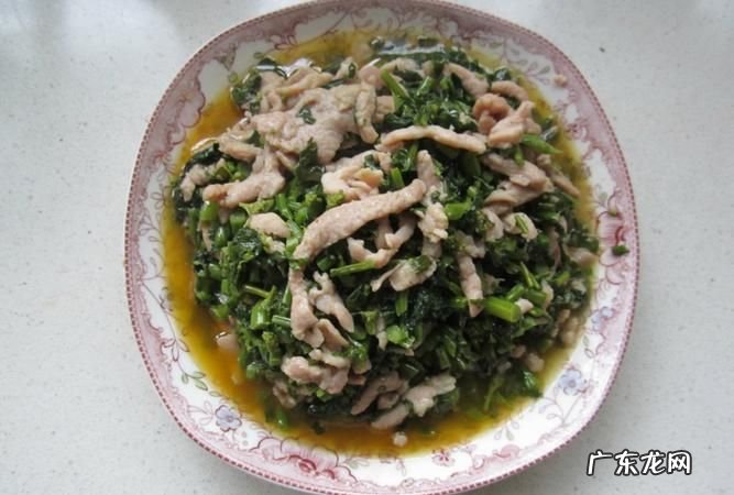 雪菜肉丝怎么炒,雪菜肉丝包子馅的做法大全