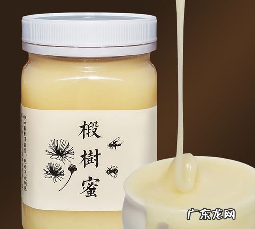椴树蜂蜜适合什么人,黑蜂椴树蜜营养价值和口感怎么样
