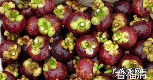 山竹皮什么垃圾,山竹皮可以做花肥 山竹皮怎么做花肥