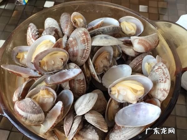 花蛤冷水下锅还是热水,花蛤要冷水下锅还是热水下锅比较好正确的做法是什么