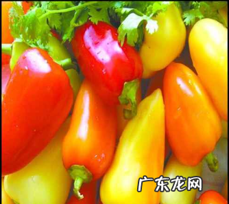 鸡尾酒能喝醉,鸡尾酒能喝醉人