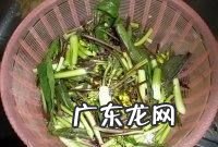 紫菜怎么炒才好吃,香菇炒紫菜的做法香菇炒紫菜怎么做好吃香菇