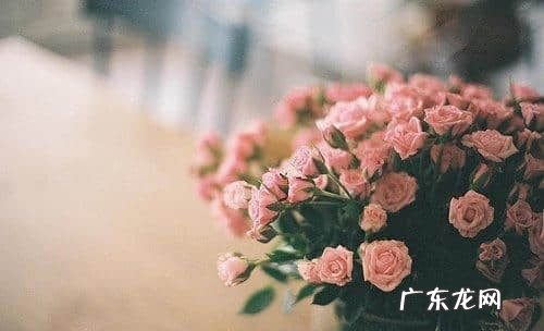 至交与挚交有什么区别,模拟人生4成为至交好友后还能恋爱