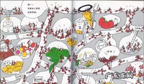 如何用蚂蚁洞辨别方向,蚂蚁洞怎么辨别方向