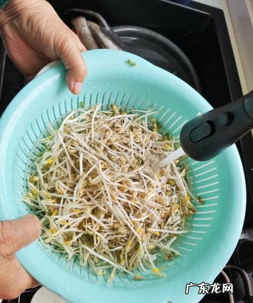 豆芽放水里一夜可以,豆芽在水里泡一晚还能吃