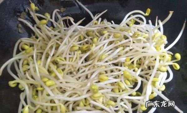 豆芽放水里一夜可以,豆芽在水里泡一晚还能吃