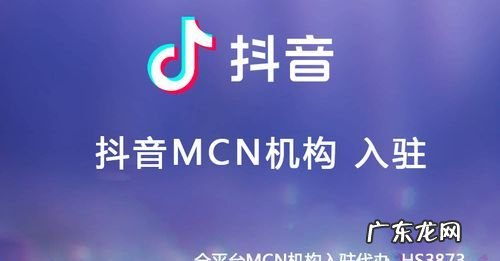 抖音所属机构怎么填,抖音的服务主体填什么