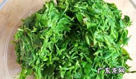 柳树芽怎么吃,柳芽可以吃饺子馅