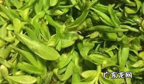 柳树芽怎么吃,柳芽可以吃饺子馅