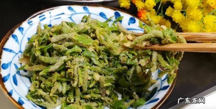 柳树芽怎么吃,柳芽可以吃饺子馅