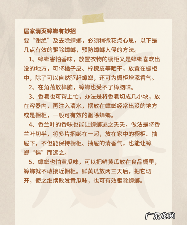家里面很多蟑螂怎么解决,家里有蟑螂怎样能彻底消灭