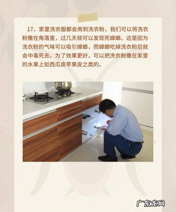 家里面很多蟑螂怎么解决,家里有蟑螂怎样能彻底消灭