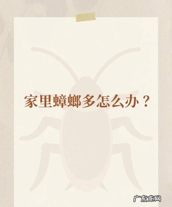 家里面很多蟑螂怎么解决,家里有蟑螂怎样能彻底消灭