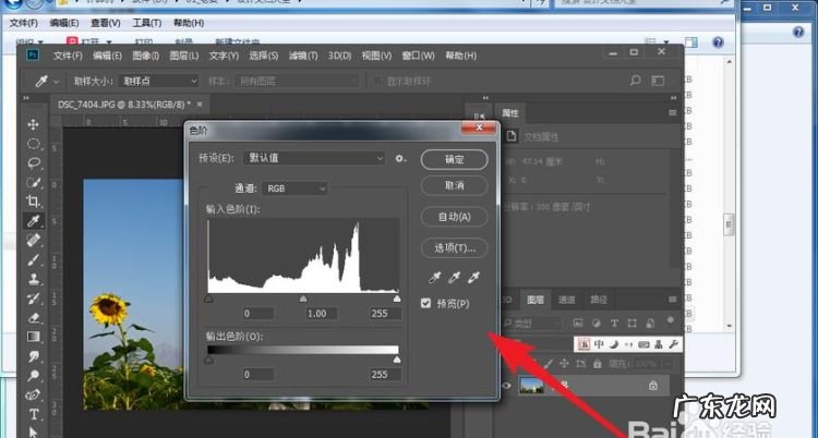 ps怎么把高光调得柔和,ps助教是什么