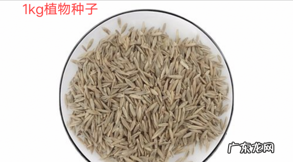 重一千克的东西有哪些,0千克的物品都有哪些