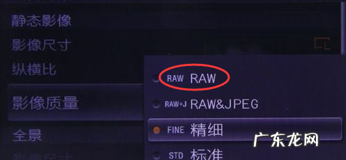 如何调整raw文件,怎么把佳能拍的照片格式改成raw
