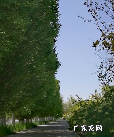 伊州区属于哪,伊州区到哈密多少公里路
