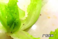 生菜上有铁锈有黄斑能吃,生菜怎么摘洗处理