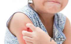 驱蚊液配方成分,灭蚊剂闻多了有什么后果