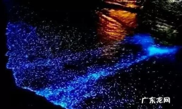 蓝眼泪是怎么形成的,蓝眼泪是怎么形成的
