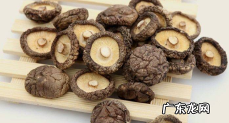 莲藕炒肉怎么炒,瘦肉炒莲藕片的做法大全