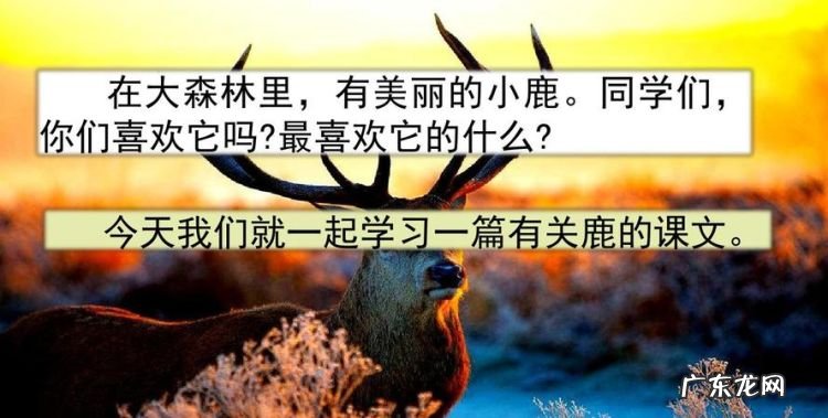 鹿角与鹿腿的寓意出自哪里,鹿角和鹿腿选自什么寓言故事
