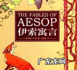 鹿角与鹿腿的寓意出自哪里,鹿角和鹿腿选自什么寓言故事
