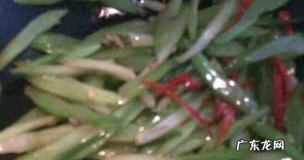 芹菜怎么素炒,素炒芹菜最简单做法窍门