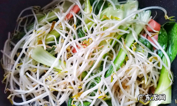 怎么做炒河粉,炒河粉的家常做法教程