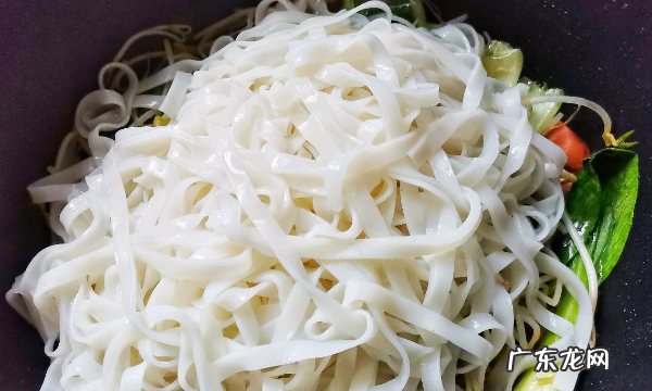 怎么做炒河粉,炒河粉的家常做法教程