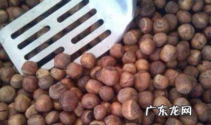 怎么炒榛子做法大全窍门,湿榛子怎么做好吃