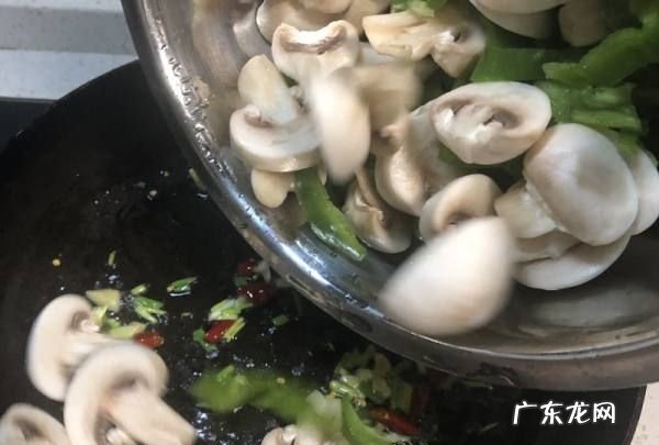 白菇怎么炒菜配什么,白菇怎么吃