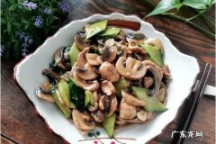 白菇怎么炒菜配什么,白菇怎么吃