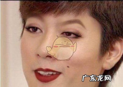 鲸落和鲨掉是什么意思,鲸鱼死了叫鲸落鲨鱼死了叫什么