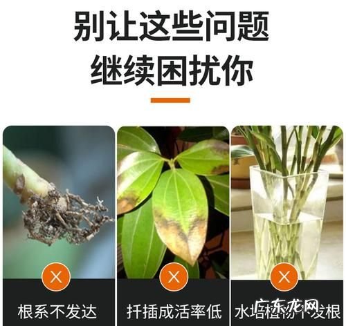 生根粉是什么成分有害,生根粉对土壤有破坏性