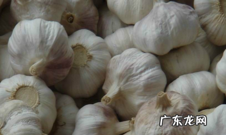 米有米虫该怎么办,米里有米虫怎么办