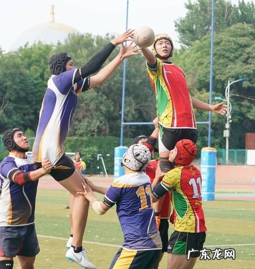 七人制橄榄球是哪一国的橄榄球,七人制橄榄球是哪一国的