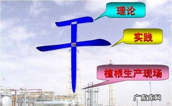 什么叫ECRS原则,精益生产四大原则ECRS