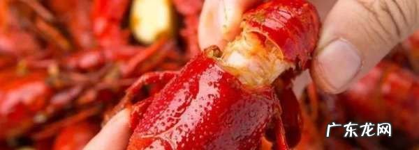 小龙虾煮出来肉散了是什么原因,小龙虾肉质松散是什么原因 怎么改善