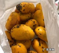 芒果坏了是什么味道,芒果怎样算坏了