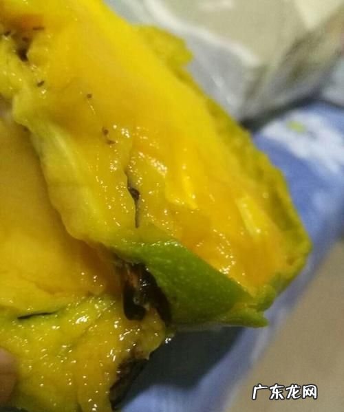 芒果坏了是什么味道,芒果怎样算坏了