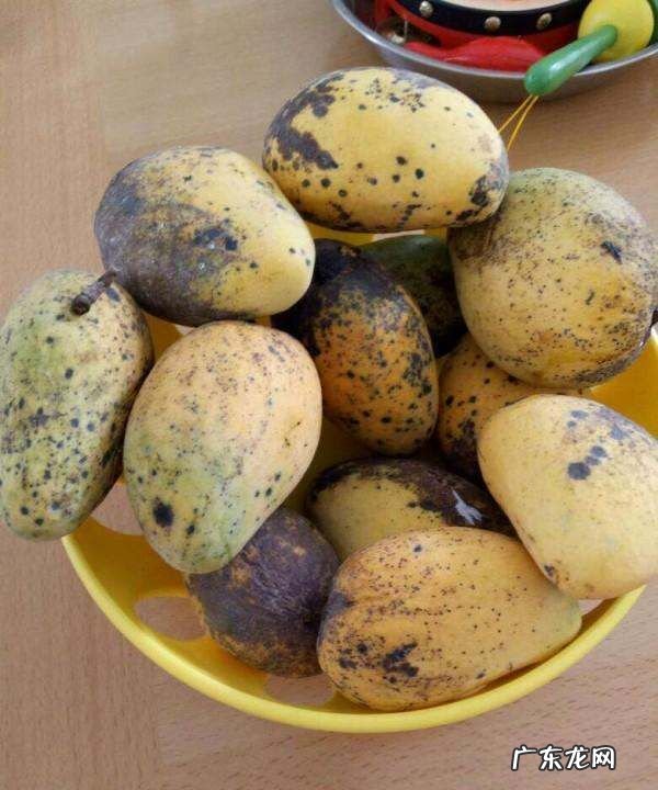 芒果坏了是什么味道,芒果怎样算坏了