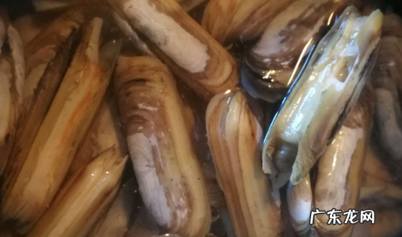 蛏子怎么炒好吃,sheng&#039;yi蛏子怎么清洗